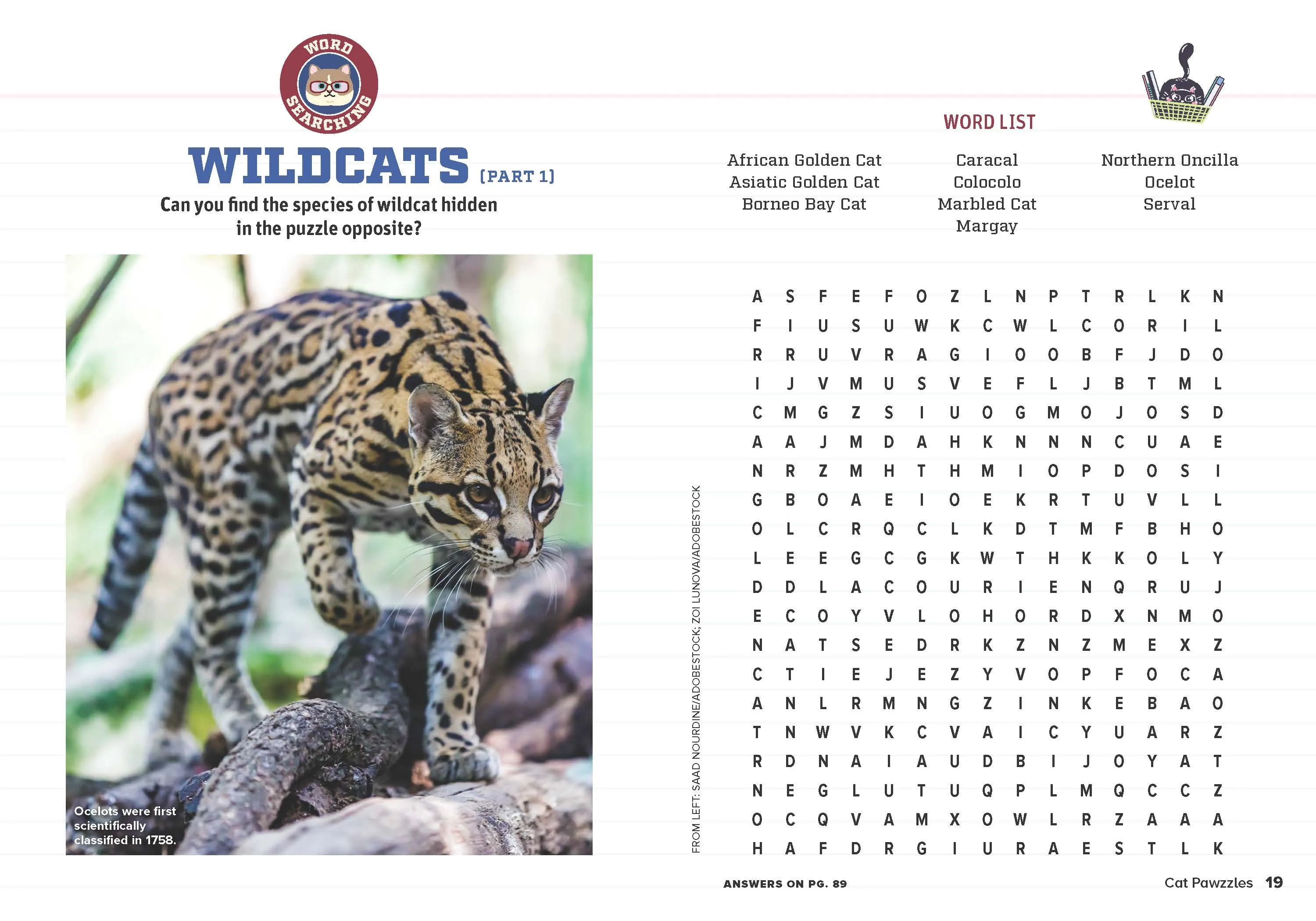 Cat Pawzzles - Purr-Plexing Challenges For Feline Fanatics, Brainteasers, Spot The Difference, Logic Puzzles, Word Searches, Crosswords, Trivia, Terminology, Relax, Unwind, De-Stress, Solve & Unplug!