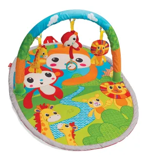 Explore and Store Activity Gym
