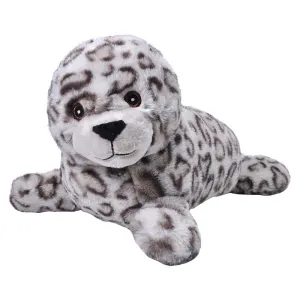 Harbor Seal