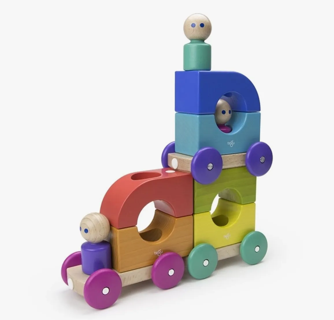 Magnetic Tegu Tram