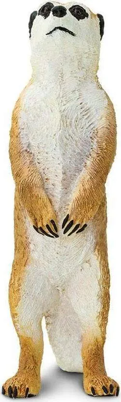 MEERKATS