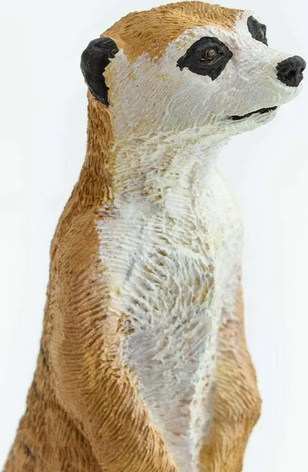 MEERKATS
