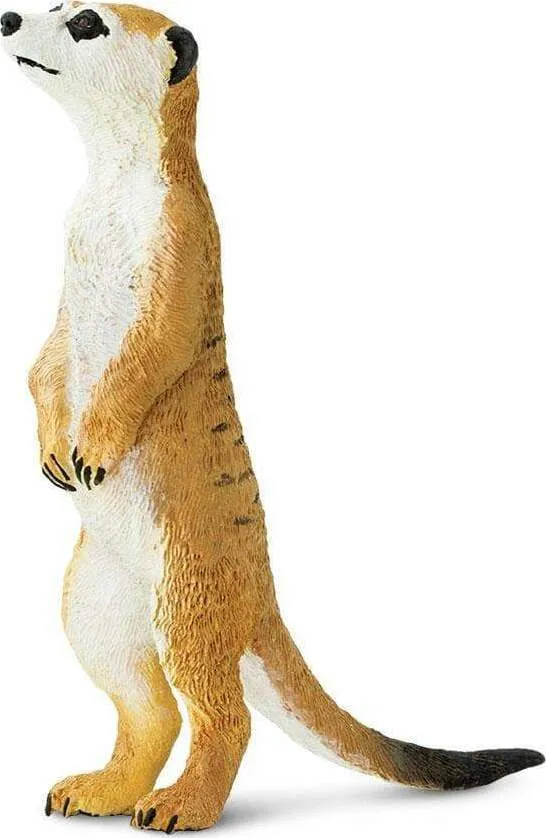 MEERKATS