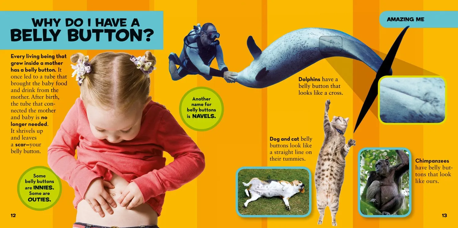 National Geographic Kids: Little Kids First Big Book Of Why