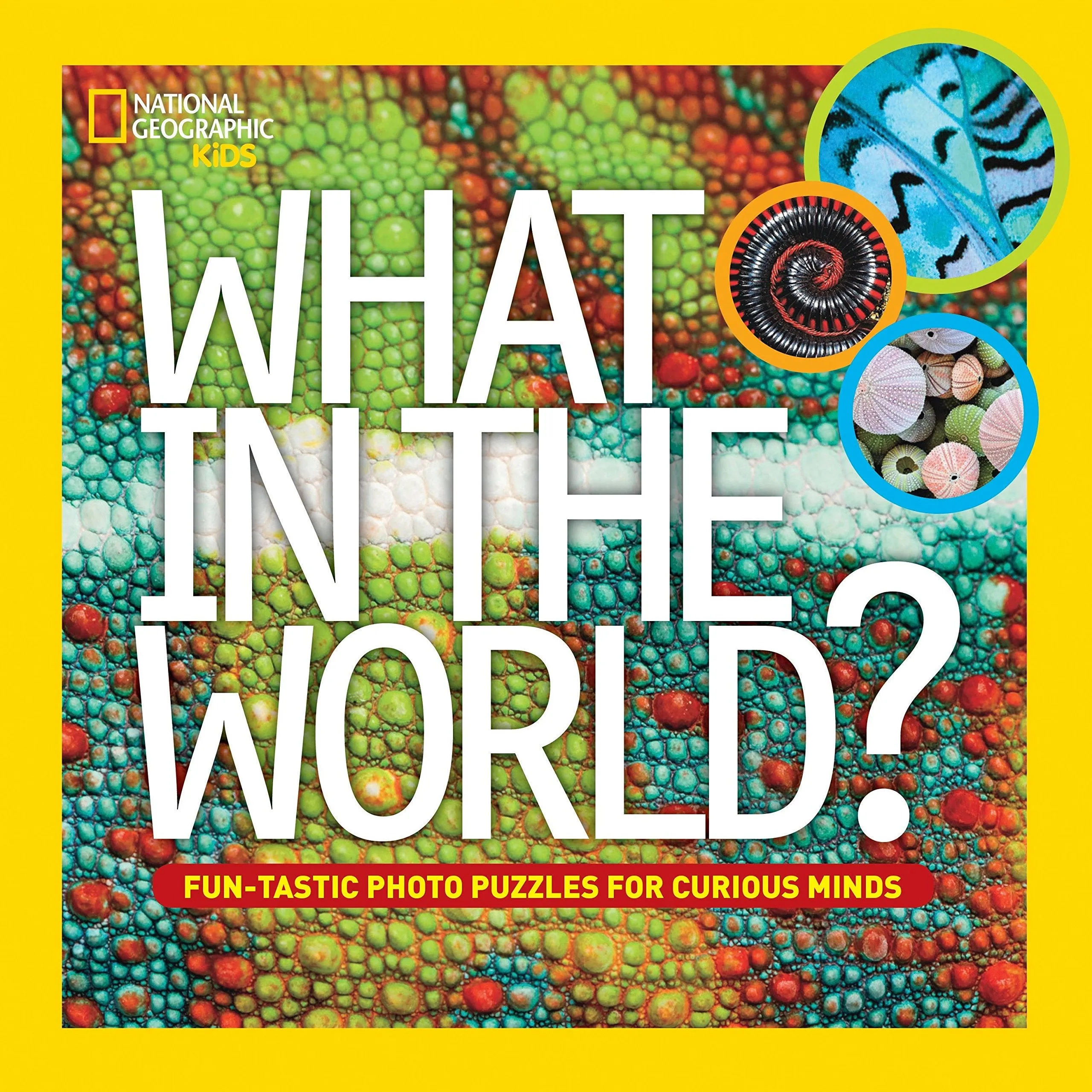 NATIONAL GEOGRAPHIC KIDS - WHAT IN THE WORLD? - FUN-TASTIC PHOTO PUZZLES FOR CURIOUS MINDS