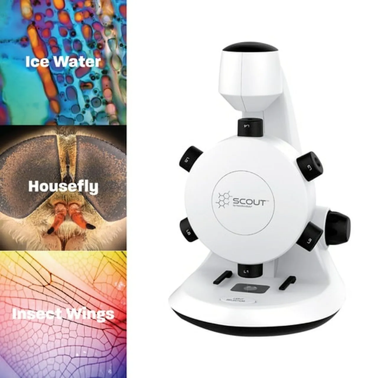Scout™ Digital STEM Microscope with Six Magnification Lenses