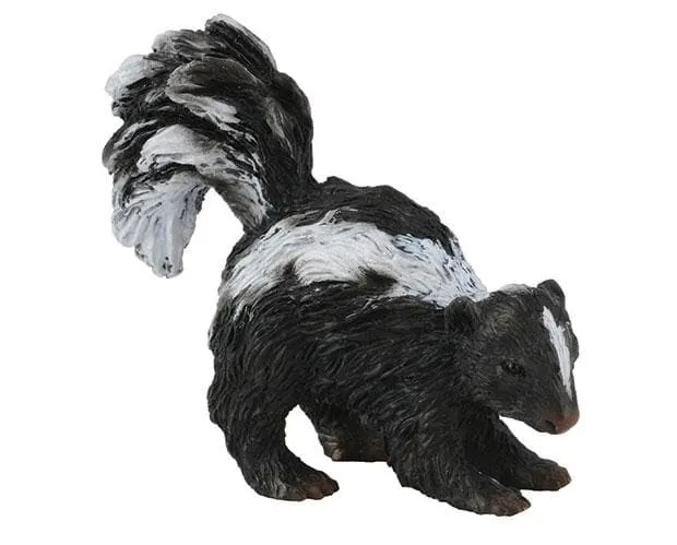 Skunk