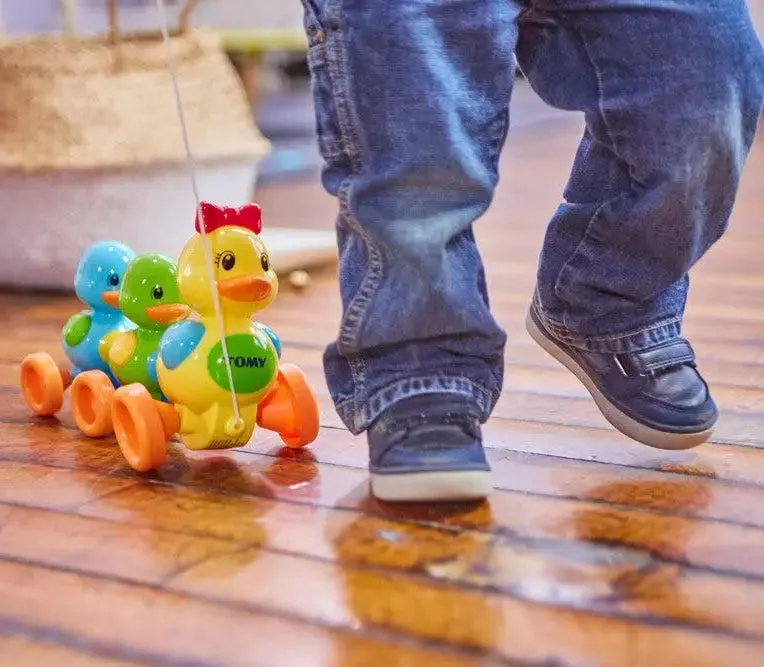 Tomy Toomies Quack Along Ducks