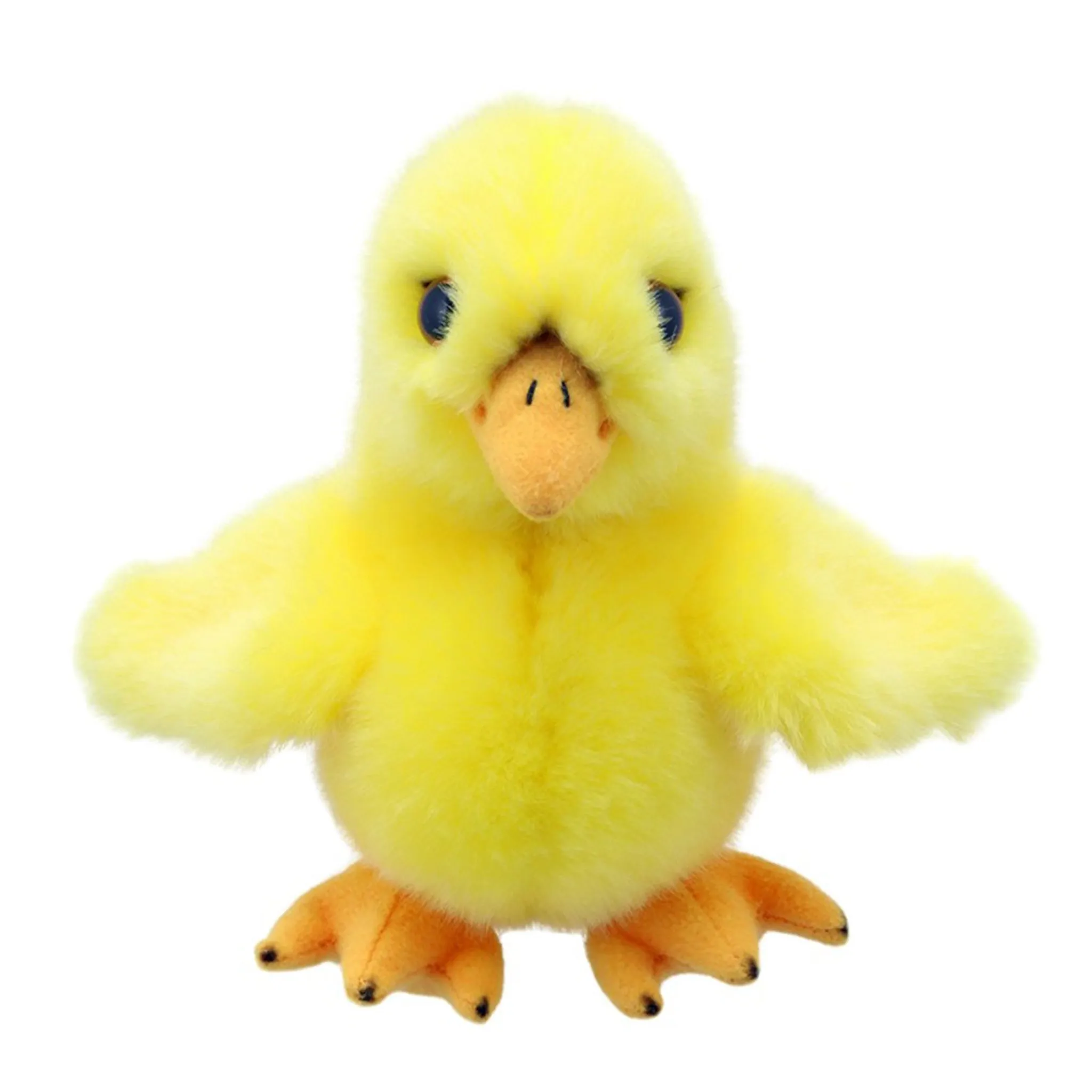 Wilberry Mini's Chick