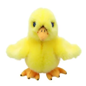 Wilberry Mini's Chick